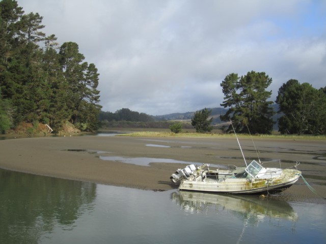 IMG_1153.JPG